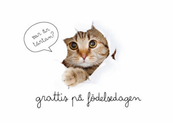 grattis på födelsedagen